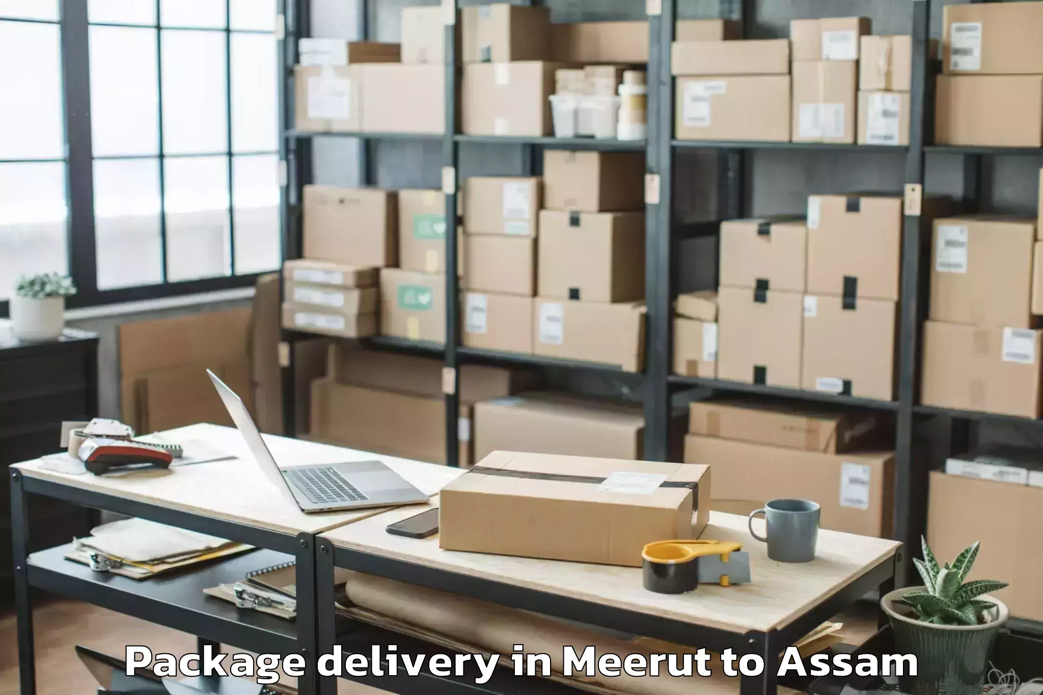 Professional Meerut to Kalaigaon Pt Package Delivery